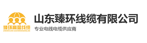 武漢圣一欣科技有限公司